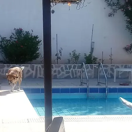 Villa-alex-rhodos Asgourou